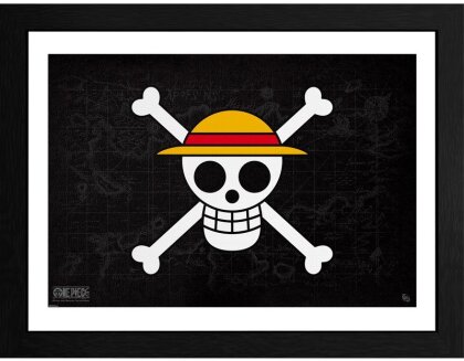 Cadre - Skull - One Piece