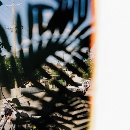 Julien Mier - Gradually (LP)