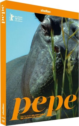 Pepe (2024)