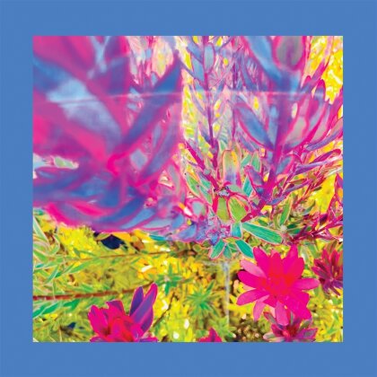 Reds Pinks And Purples - The Past Is A Garden I Never Fed (Pink Vinyl, LP)