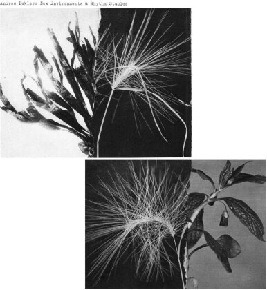 Andrew Pekler - New Environments & Rhythm Studies (LP)
