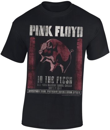 Pink Floyd - In The Flesh