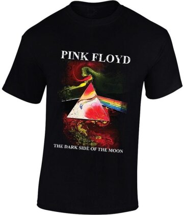 Pink Floyd - Dark Side Of The Moon Art Print