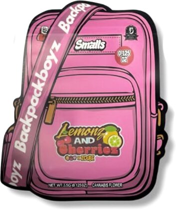 Mylar Bag Backpack Boyz 1pc