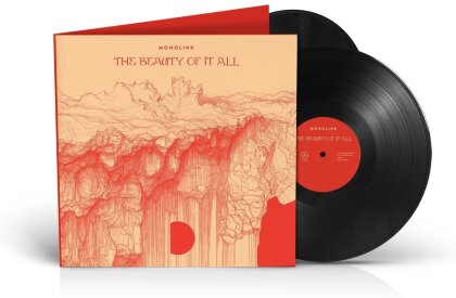Monolink - The Beauty Of It All (2 LPs)