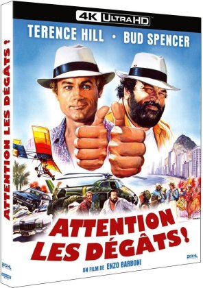 Attention les dégâts (1984)