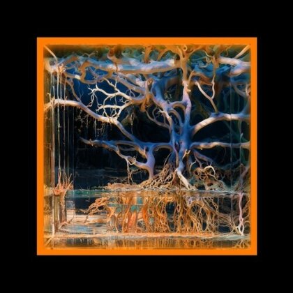Batu - Question Mark (LP)