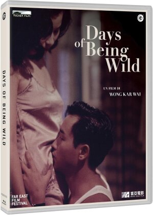 Days of Being Wild (1990)