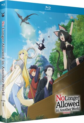 No Longer Allowed in Another World - Season 1 (2 Blu-rays)