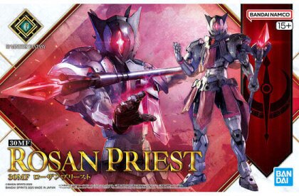 30 Minutes Fantasy - Rosan Priest