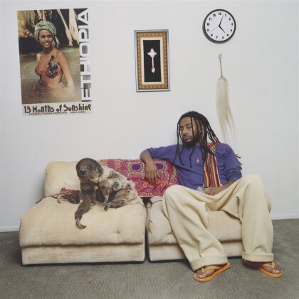 Aminé - 13 Months Of Sunshine (2 LPs)