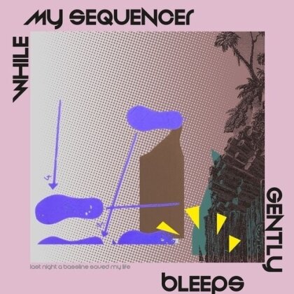 While My Sequencer Gently Bleeps - Last Night A Bassline Saved My Life (12" Maxi)