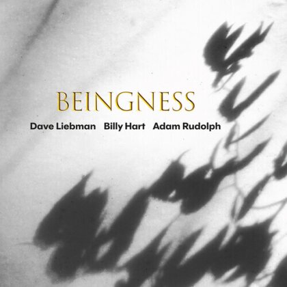 Dave Liebman, Billy Hart & Adam Rudolph - Beingness