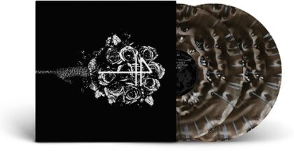 The Banner - Greying (2025 Reissue, Good Fight Music, Clear/Black/White/Silver/Black Ice Vinyl, 2 LPs)