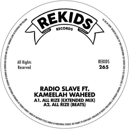 Radio Slave - All Rize (12" Maxi)