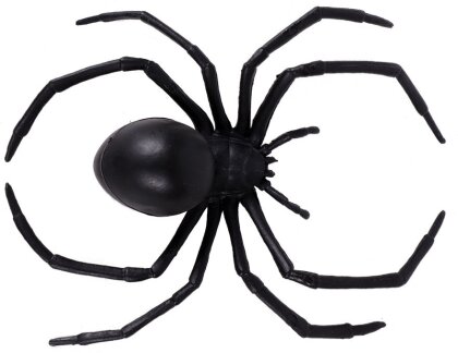Spinne Deko
