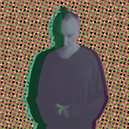 Fink (UK) - Beauty In Your Wake (Acoustic) (Indies Exclusive, Limited Edition, LP)