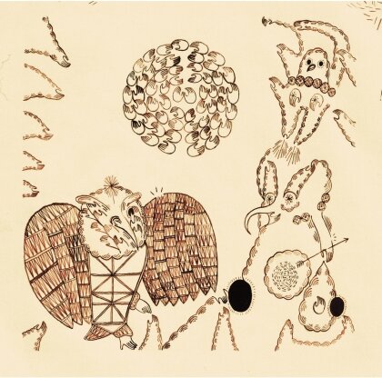 Devendra Banhart - Rejoicing In The Hands (2025 Reissue)