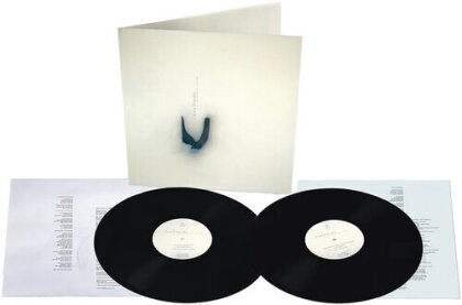 David Sylvian & Nine Horses - Snow Borne Sorrow (Expanded, 2 LP)