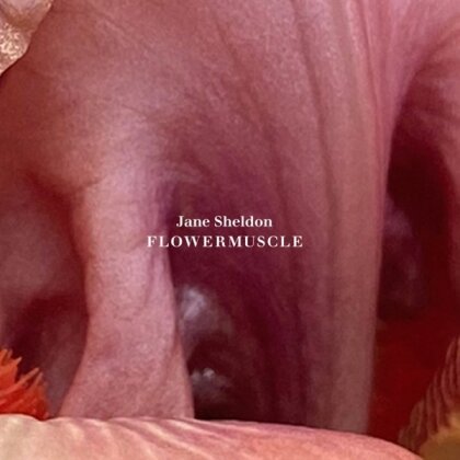Jane Sheldon - Flowermuscle