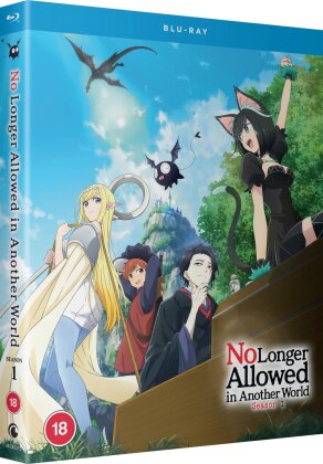 No Longer Allowed in Another World - Season 1 (2 Blu-rays)