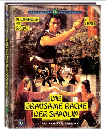 Die grausame Rache der Shaolin (1979) (Cover B, Shaw Brothers Classics, Limited Edition, Mediabook, Uncut, Blu-ray + DVD)