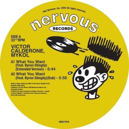 Victor Calderone - What You Want / Take You Back (12" Maxi)