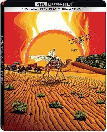 Lawrence d'Arabie (1962) (Limited Edition, Steelbook, 2 4K Ultra HDs + 2 Blu-rays)
