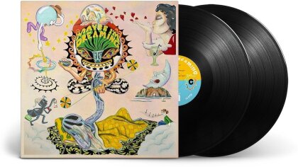 Maybe I'm Dreaming (Mexican Summer, 2 LPs)