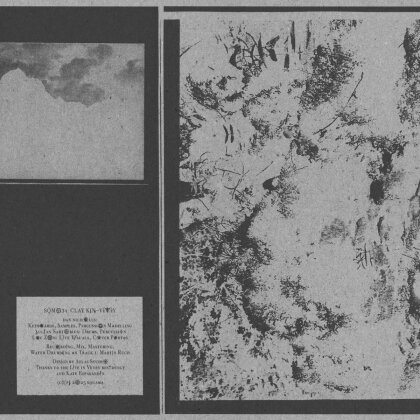 Clay Kin (Julian Sartorius/Dan Nicholls) - Vevey (Colored, LP)