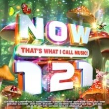 Now Thats What I Call Music! 121