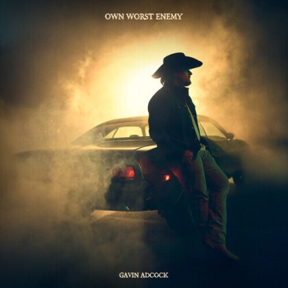 Gavin Adcock - Own Worst Enemy (2 LPs)