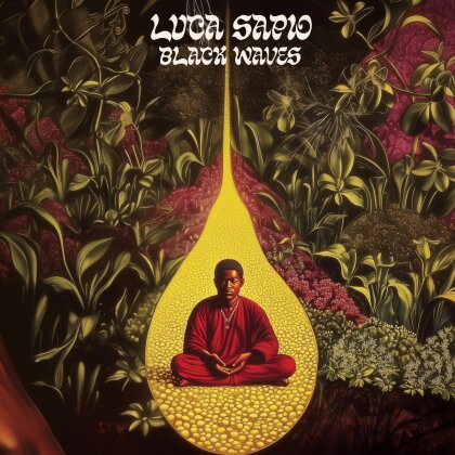 Luca Sapio - Black Waves (LP)