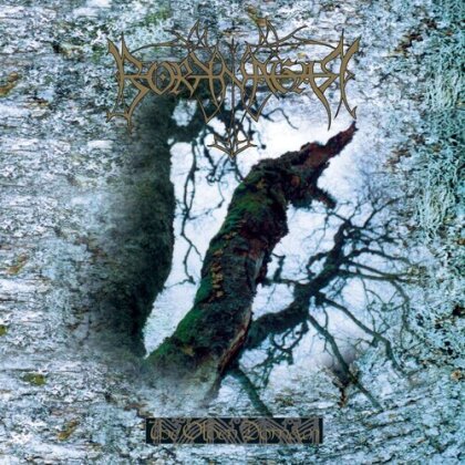 Borknagar - Olden Domain (2025 Reissue, Gatefold, The Circle Music, Deluxe Edition, Red Vinyl, LP)