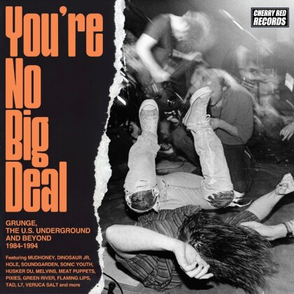 You're No Big Deal: Grunge Us Underground & Beyond (Cherry Red, 4 CD)