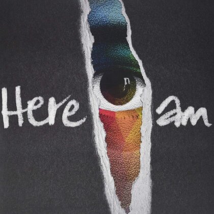 Groundation - Here I Am (2025 Reissue, 2 LPs)