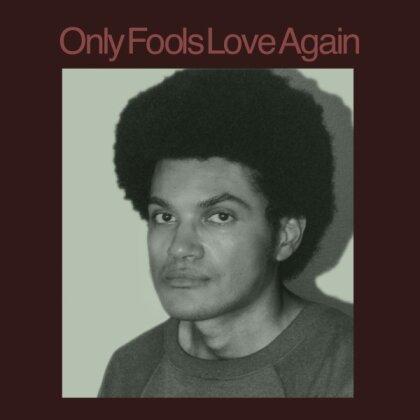 Danny Ayala - Only Fools Love Again (LP)