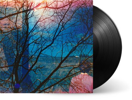 Idlewild - --- (LP)