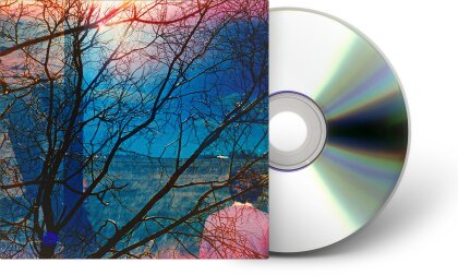 Idlewild - ---
