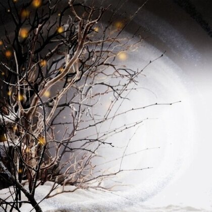 Winterlight - --- (2 LPs)