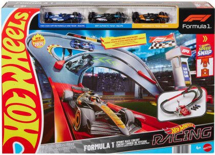 Hot Wheels Racing Formel 1 Sprint Rennstrecke