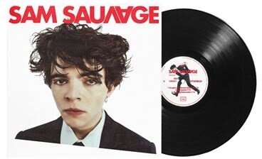 Sam Sauvage - --- (LP)