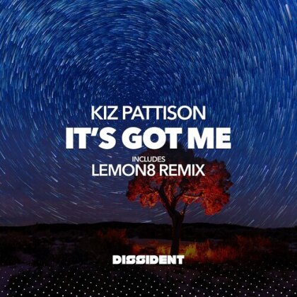 Kiz Pattison - It's Got Me (CD-R, Manufactured On Demand)