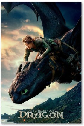 How to train your dragon Poster