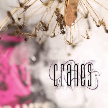 Cranes - Fuse (2025 Reissue, Dadaphonic, Colored, LP)