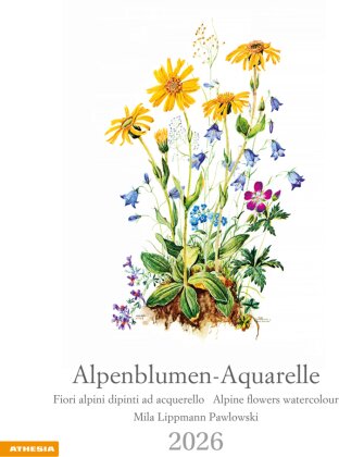 Alpenblumen-Aquarelle Kalender 2026