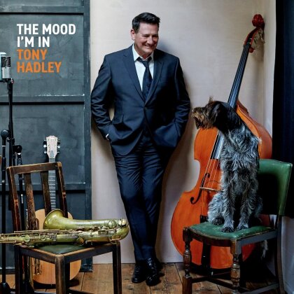Tony Hadley (Spandau Ballet) - Mood I'm In (2025 Reissue, Revolver, Cream Coloured Vinyl, LP)
