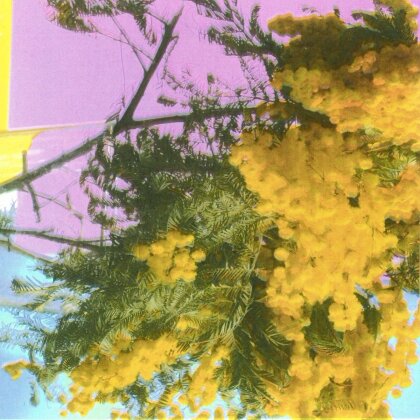 Four Tet - Into Dust (Still Falling) (12" Maxi)