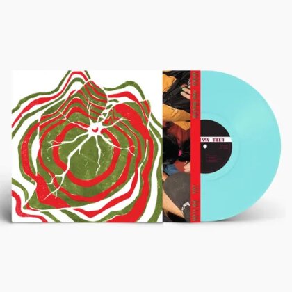 Jesse Welles - Middle (LP)