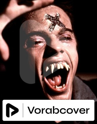 Fright Night - Die rabenschwarze Nacht (1985) (Limited Edition, Steelbook, 4K Ultra HD + Blu-ray)